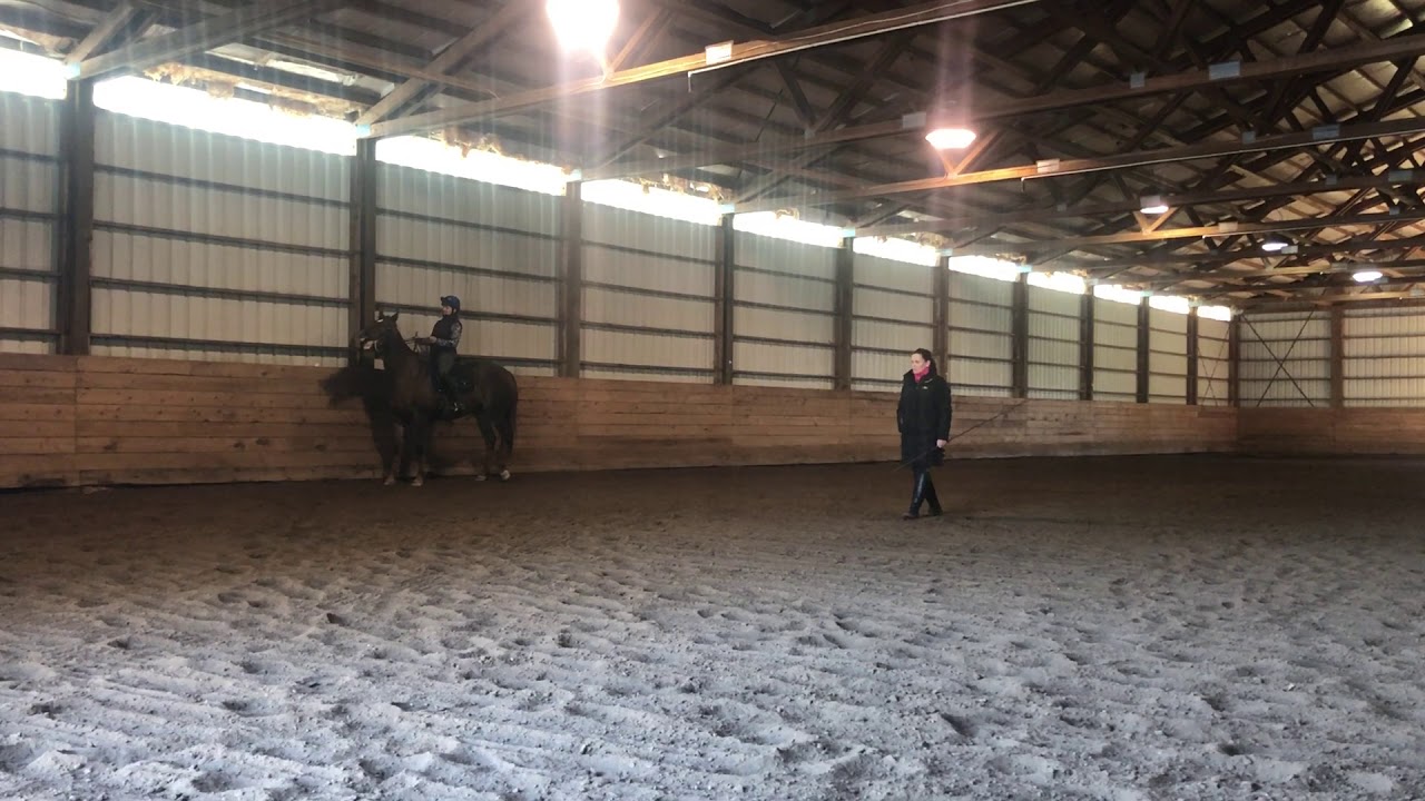 Reinback, counted walk, start of piaffe