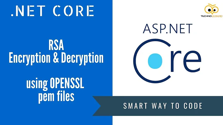 Asymmetric Encryption and Decryption in .NET Core using RSA Public/Private Key Pairs