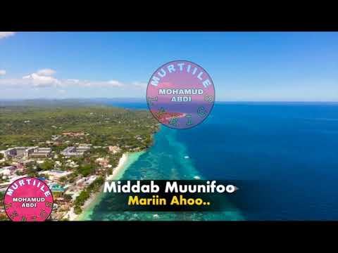 Guuleed Simba Hees Cusub 2021 Adiga Iska Leh Murtiile Officail Boy 