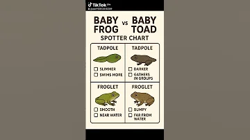 I M Explain The Difference Of Frog And Toad 