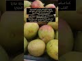 هل تعلم ما هي فوائد المانجو ستجعلها فاكهة رئيسية بعد اليوم