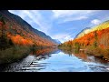 Beautiful Relaxing Music, Peaceful Piano Music, Birds Singing, Sleep Music