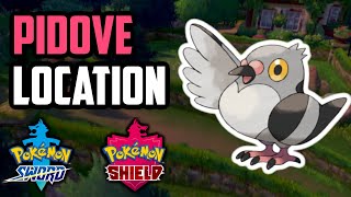How To Catch Pidove - Pokemon Sword Shield