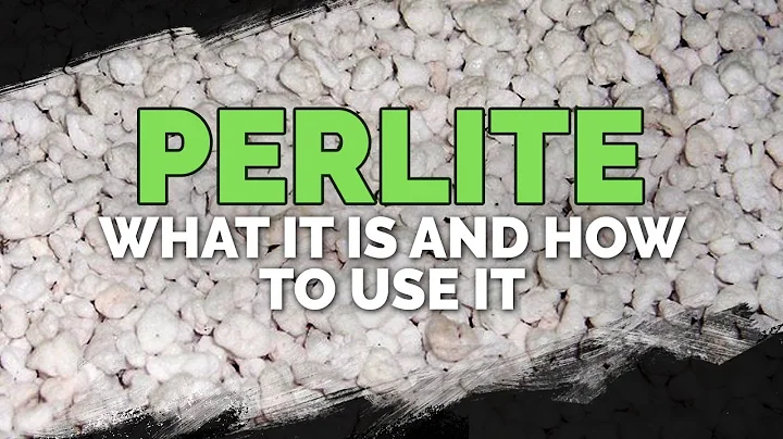 Perlite: What It Is & How To Use It In Your Garden