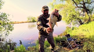 Клёв как на 'Черных камнях'. Еле достал садок с рыбой из воды . Погодка, Природка.. и Быть Добру!!!