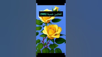 #قران_كريم #قرآن #قران_الكريم #سورة_النساء ؛  إِنَّا أَنزَلْنَا إِلَيْكَ الْكِتَابَ بِالْحَقِّ