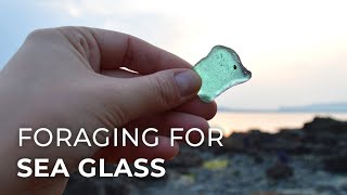 Foraging for Sea Glass on the Beach (Sea Jewels)