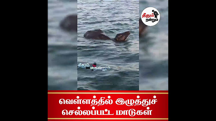 வெள்ளத்தில் இழுத்துச் செல்லப்பட்ட மாடுகள்#NewsUpdate #Flood #CuddaloreFlood #theedhumnNews@theedhumn