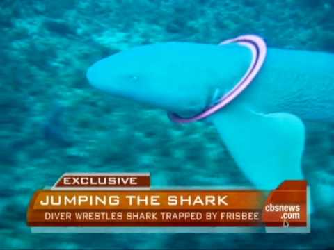 Diver Wrestles Frisbee-Trapped Shark