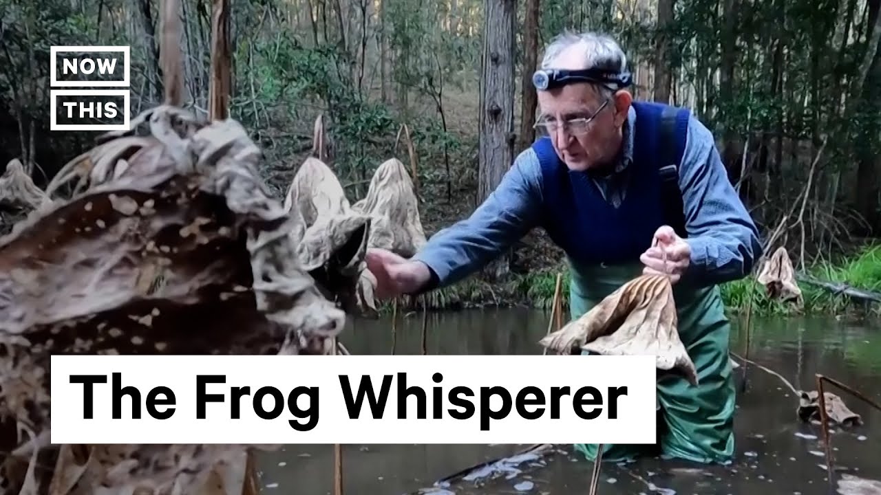 Frog Insurance Professor Stores Frog DNA as Future ‘Insurance Policy’ - YouTube