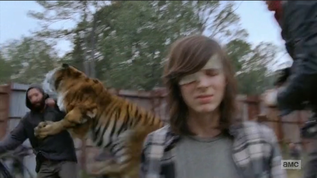 Shiva saves Carl from Negan - The Walking Dead Season 7x16 ...