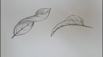 How to draw #curled leaf drawing very easy//easy #Leaf drawing//Vel