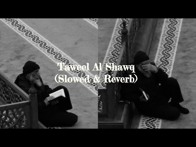 taweel al shawq // slowed + reverb // lyrics + translation class=