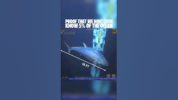 18-Foot Giant😨 Tuna Spotted Near Oil Rig – Rare Deep Sea ROV Footage😳 #shorts #explore
