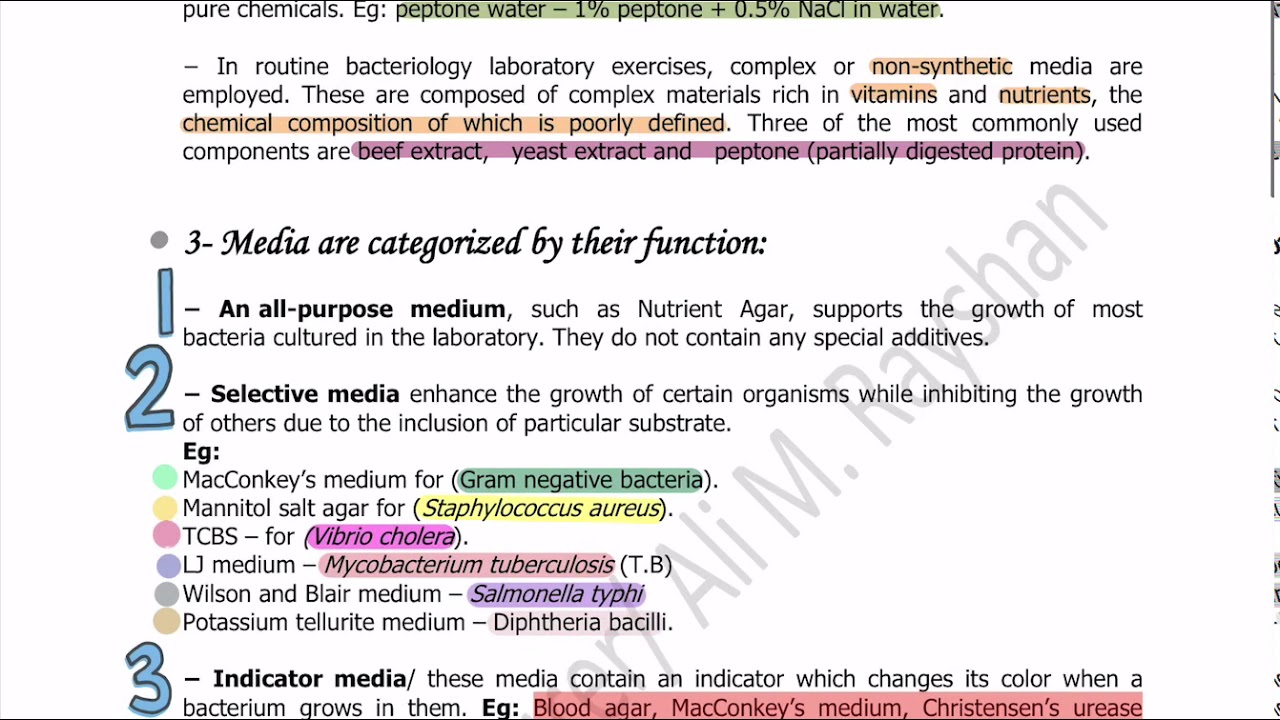 Lab 4+5 practical microbiology Culture media YouTube