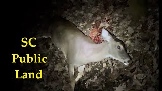 SC Public Land Deer Hunt - American Safari 3.0 - Ep. 8 by SCliving Outdoors 442 views 1 year ago 10 minutes, 31 seconds