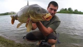 This is the first of a series day trips down to local park fish some
back bays off lake ontario near toronto's downtown core during
september and int...