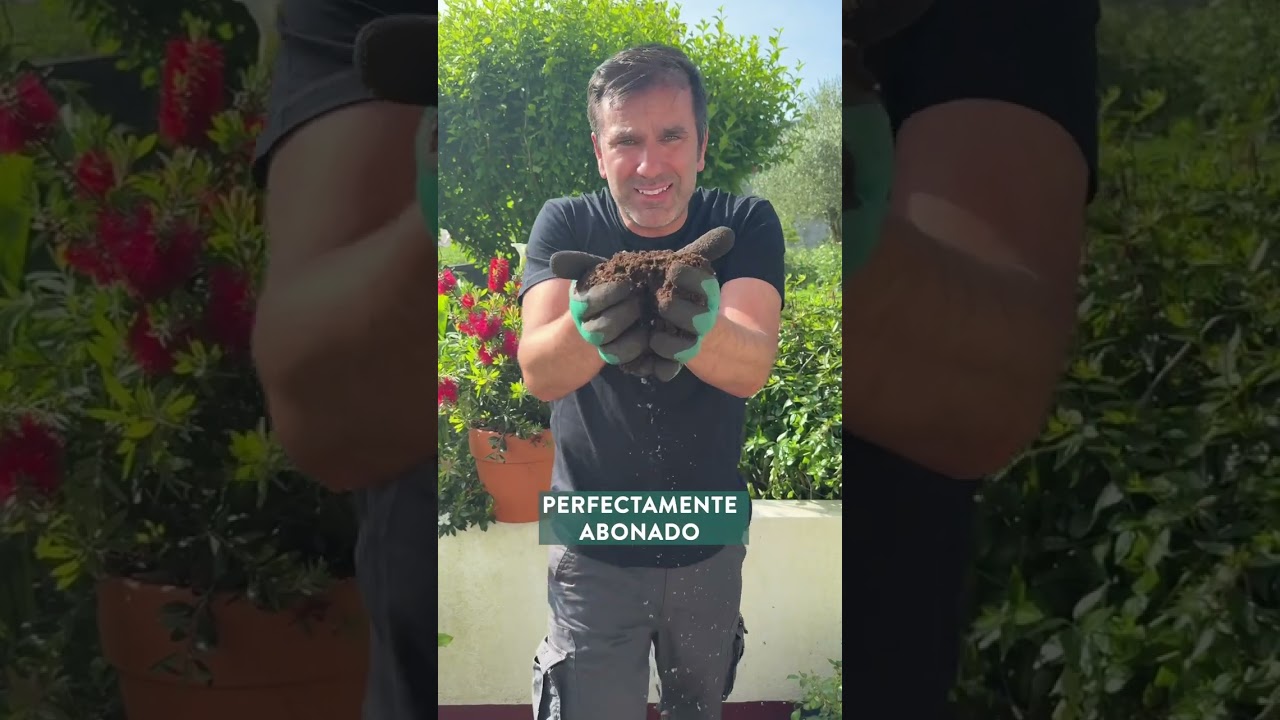 PARTE 1 — El Callistemon… ¿Cola de gato? 🐈  @‌en20metros nos ofrece una masterclass