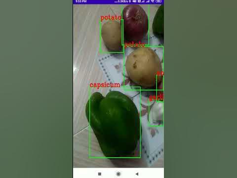 Custom Object Detection Android App Using TensorFlow Lite(GPU) and ...