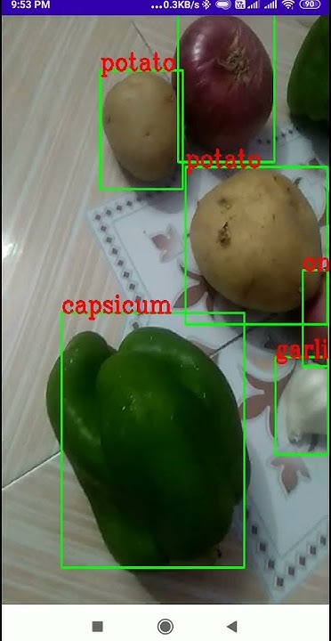 Custom Object Detection Android App Using TensorFlow Lite(GPU) and ...