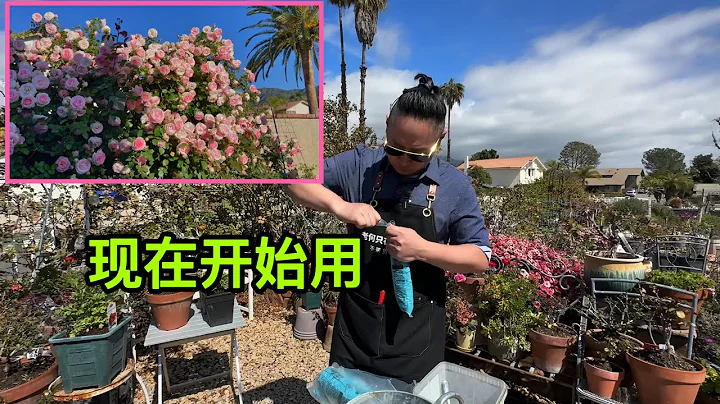 肥料有妙招！老何花园的肥料大揭秘！解锁老何花园用肥法种出美丽花朵！园艺篇 - 天天要闻