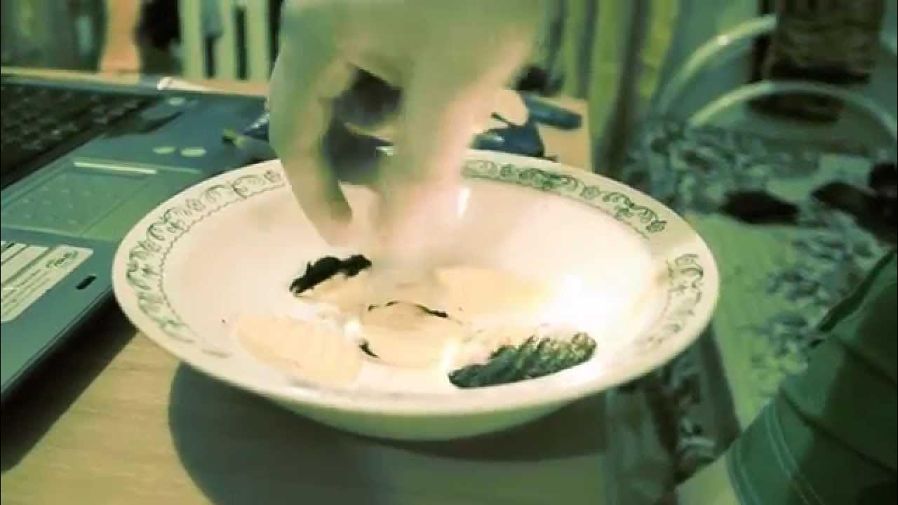Lays Strong (burning) | Лейс Стронг (горение) - YouTube