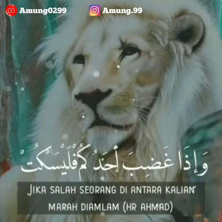 Story WA diam menghadapi orang marah