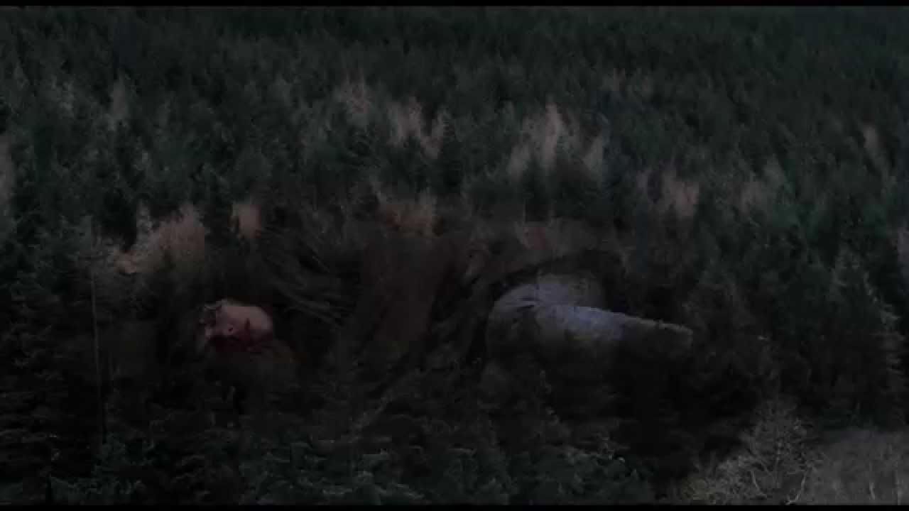 UNDER THE SKIN - Bande-annonce