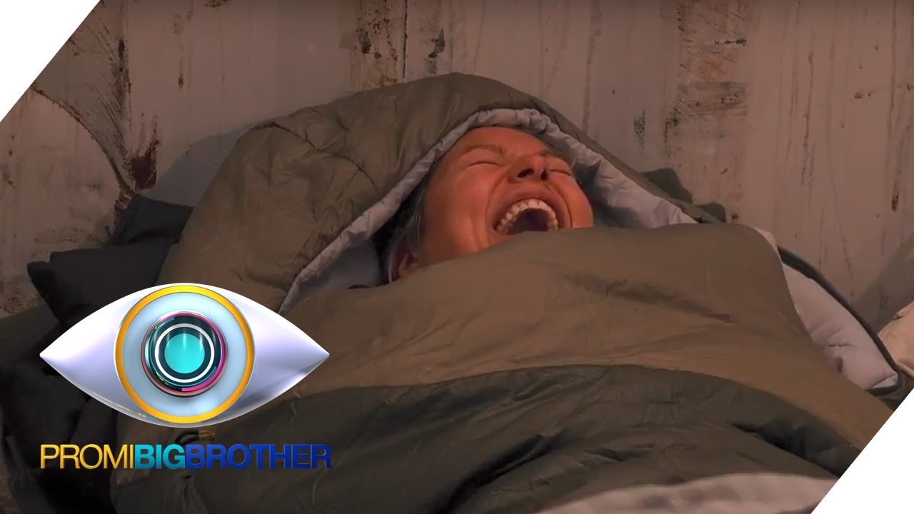 sat 1 big brother sat 1 big brother