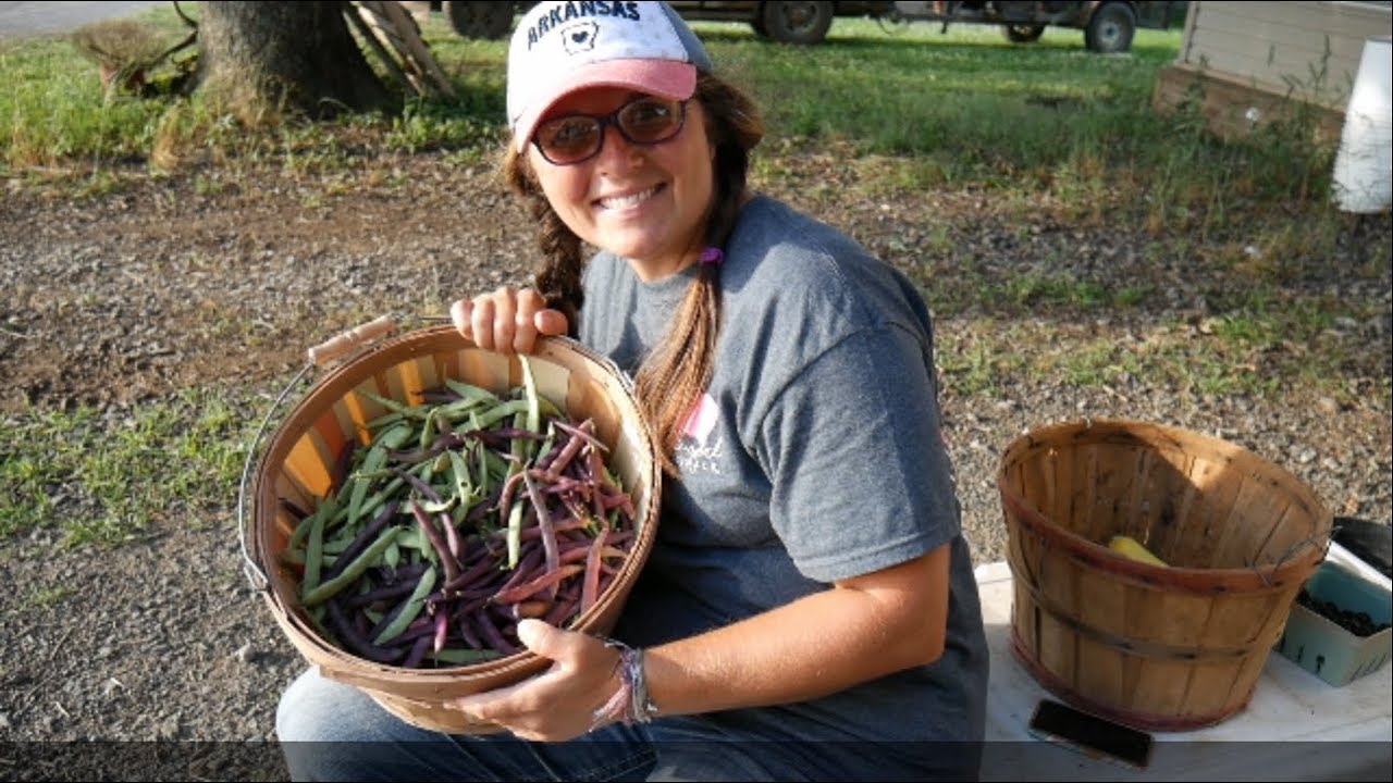 Beans, Beans, The Magical Fruit YouTube