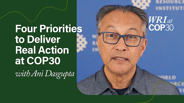 4 Priorities to Deliver Real Action at COP30 in Brazil