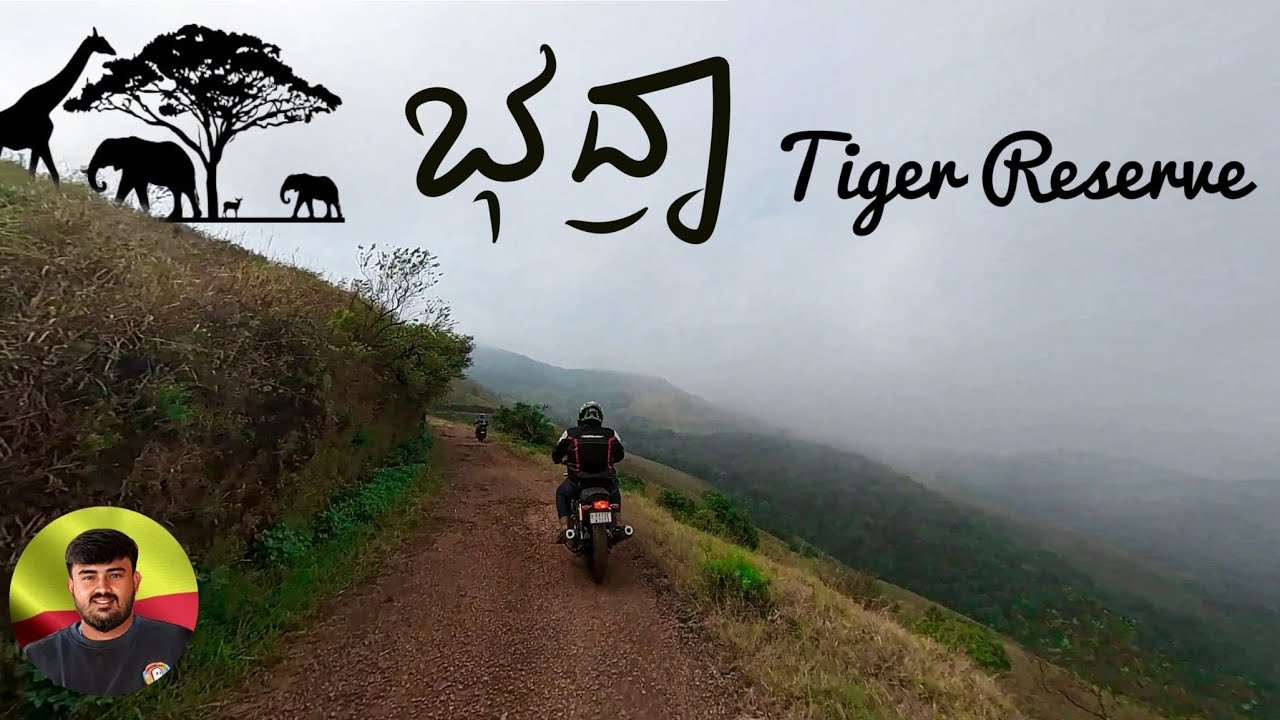 ಭದ್ರಾ ಟೈಗರ್ ರಿಸರ್ವ್ / Bhadra Tiger reserve..../#karnataka #travelphotography #forest #vlogs #trk502