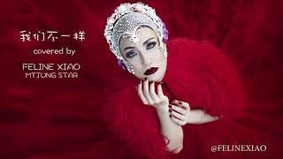 Wo Men Bu Yi Yang 我们不一样 ( Remix Version ) Video Lyric by Feline Xiao​ MTJUNG STAR