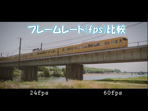 フレームレートテスト 24fpsと60fps比較やシャッタースピードの違い 4kダウンコンバートは綺麗なのかを確かめてみた。