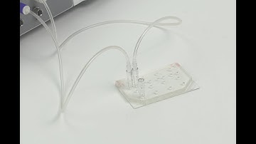 How to Install PG Reservoir Connector to PDMS Chip and iFlow Microfluidic Controller