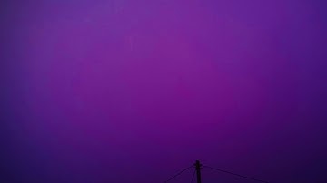 121721~EnterThePurplFogg