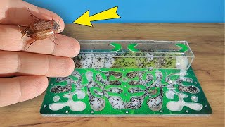 Mil Hormigas Vs Escarabajo Gigante