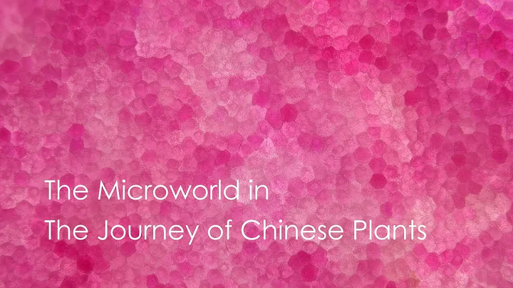 The Microworld in The Journey of Chinese Plants - DayDayNews