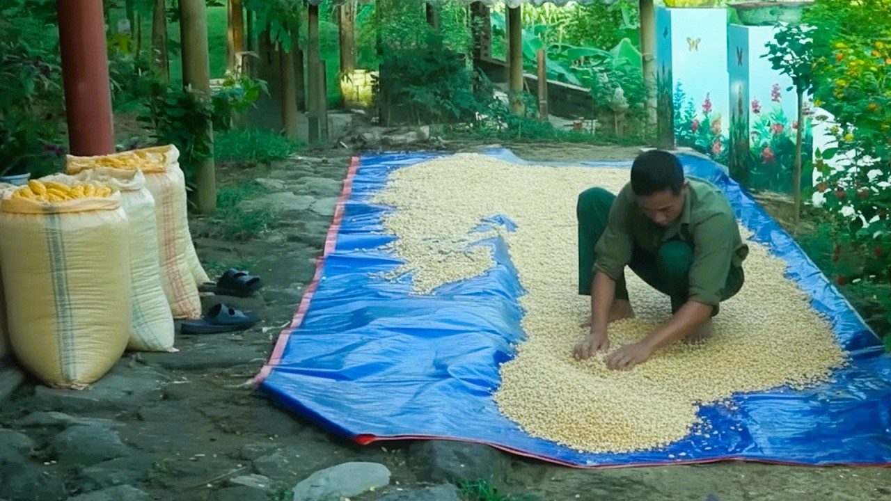 Harvesting Corn and Rare Wild Bamboo Shoots to Sell at the Busy Village Market