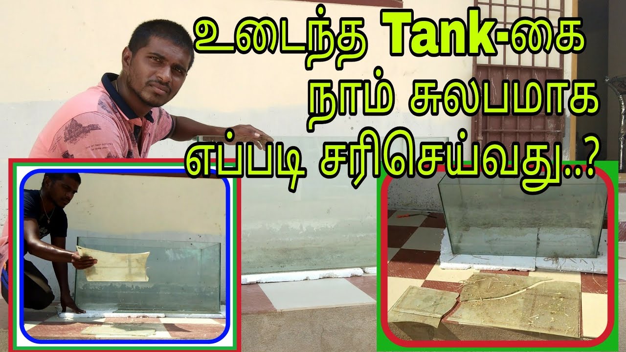 How to remove broken fish tank piece easy steps YouTube
