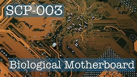 SCP-003 - Biological Motherboard - SCP Video