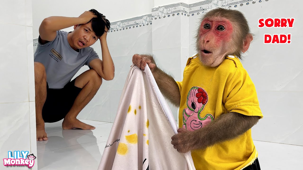 OMG!!! Lily just dirtied her Dad's new T-shirt | Lily's story
