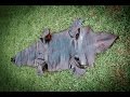 how to Professionally Tan an Alligator hide