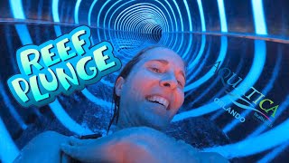 NEW Water Slide Goes Through Dolphin Tank! | SeaWorld Aquatica Water Park opens all NEW Reef Plunge