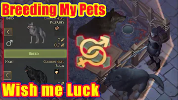 How do you get the war horse in grim soul?