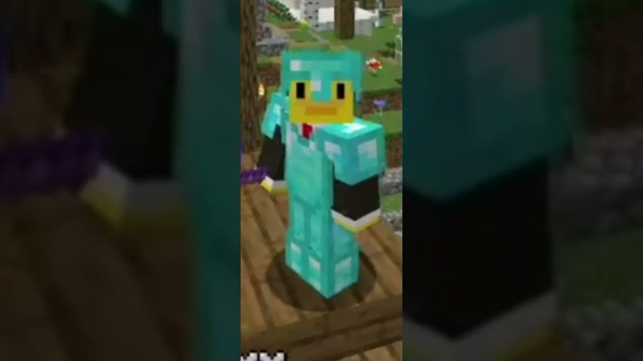 I made a Minecraft