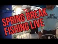 Clearwater beach fishing charter