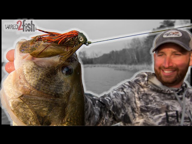 Swim Jig Fishing Secrets for More Bass in Shallow Water 