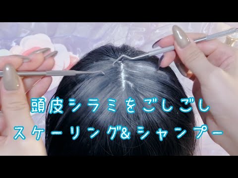 【ASMR】頭皮のシラミ治療とシャンプーロールプレイLice treatments,shampoo,head massage RP