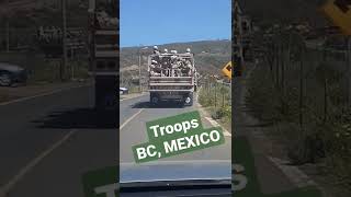 Driving Along With Mexican Army In Ensenada, Baja California